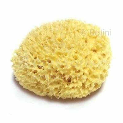 Bellini  Nat. Sea Sponge Honeycomb №14 Губка натуральная морская детская