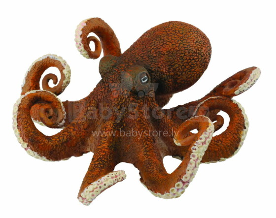 COLLECTA (XL)  Astoņkājis 88485