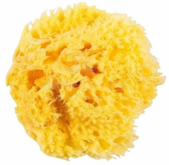 OK Baby Nat. Sea Sponge Honeycomb №12 Art.38471200 Laste mere naturaalne käsn