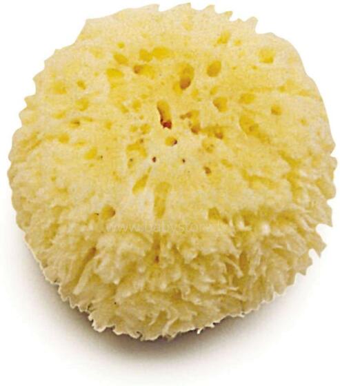 Jane Natural Sponge Art.040106C01 Natural