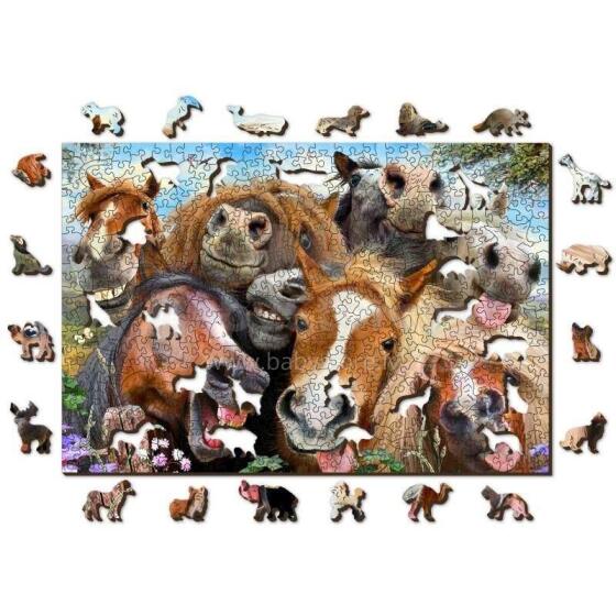 Wooden City Wood Puzzle  Art.AN 505-0015-L Puidust arengupuzzle