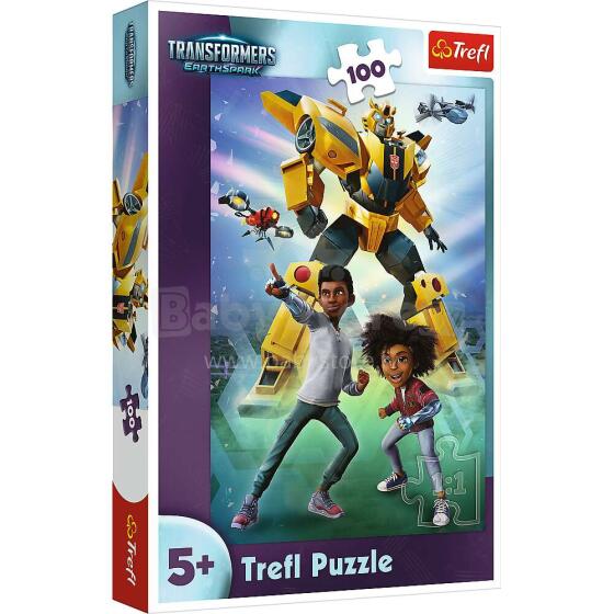 TREFL TRANSFORMERS Pusle Transformerid, 100 osa