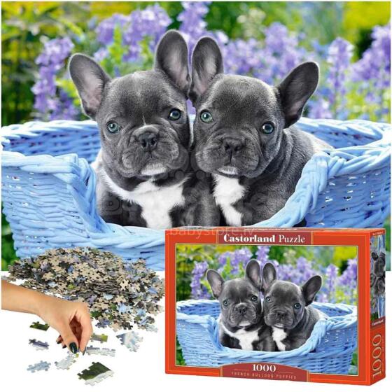 Ikonka Art.KX4365 CASTORLAND Puzzle 1000 elementi Prantsuse buldogi kutsikad - Prantsuse buldogid 68x47cm