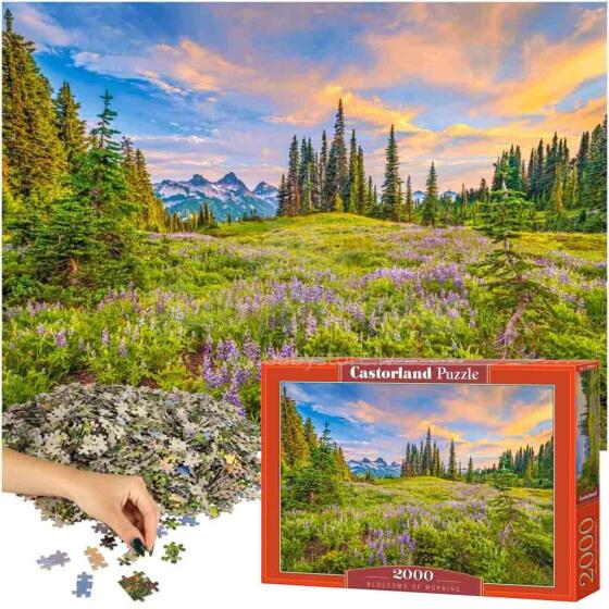 Ikonka Art.KX4364 CASTORLAND Puzzle 2000 elemendid Hommikuse õied - maastik 92x68cm