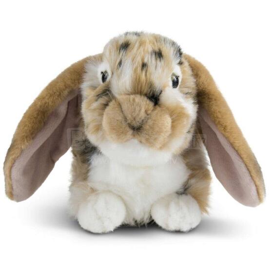 Living Nature Dutch Lop Eared Rabbit Art.AN316B Brown Pehme Toy