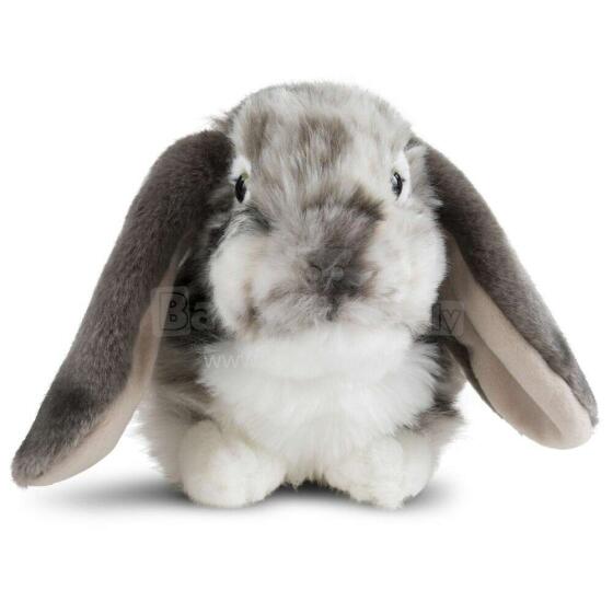 Keycraft Living Nature Dutch Lop Eared Rabbit Art.AN316G Grey Pehme Toy