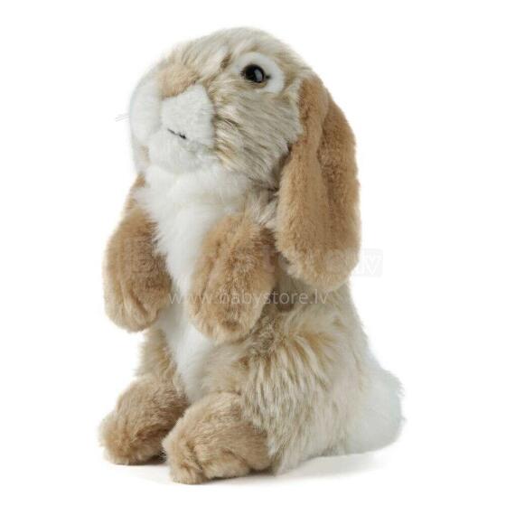 Keycraft Living Nature Dutch Lop Eared Rabbit Art.AN345B Brown Pehme Toy