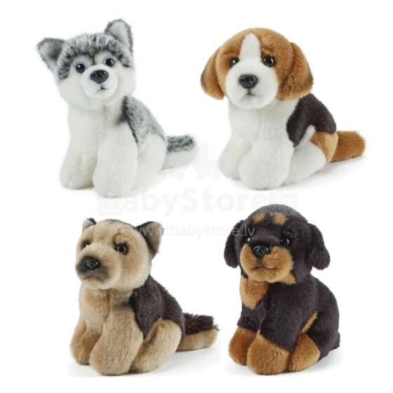Keycraft Living Nature Miniature Dogs Assorted Art.AN366  Pehme Toy