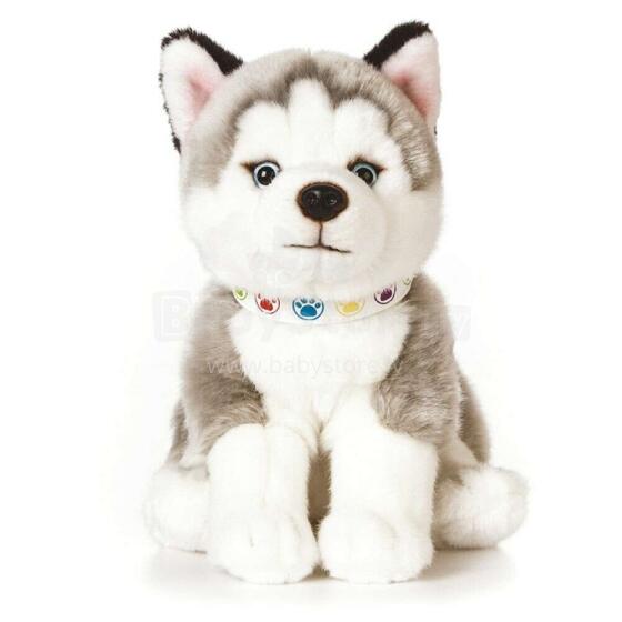 Keycraft Living Nature Giant Husky Puppy Art.AN524 Pehme Toy