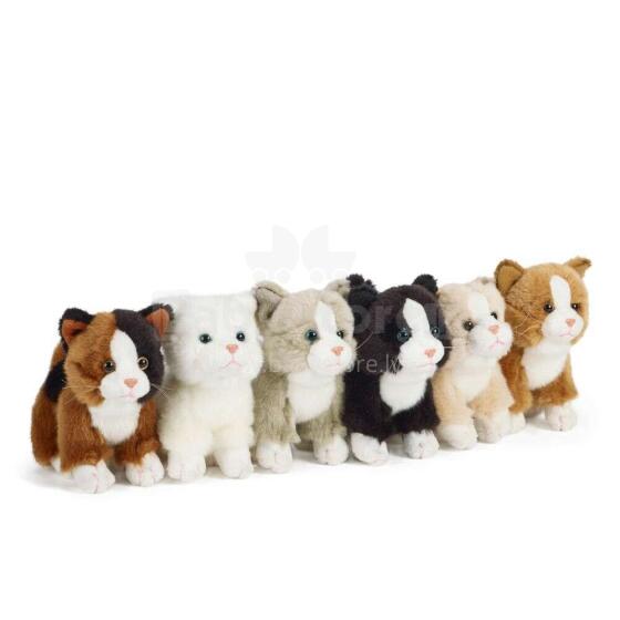 Keycraft Living Nature Cat Small Assorted Art.AN147 Pehme Toy