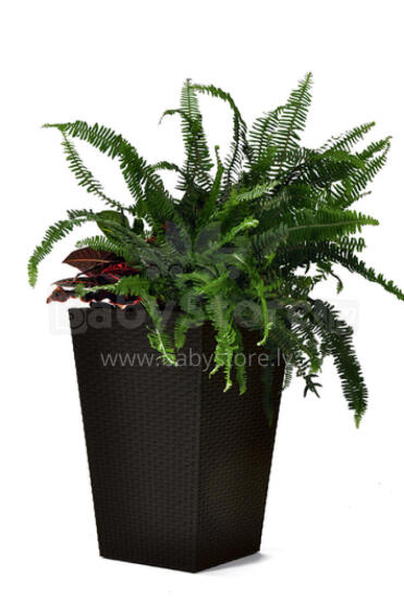 Lillepott Keter Rattan Planter, M, 57 cm