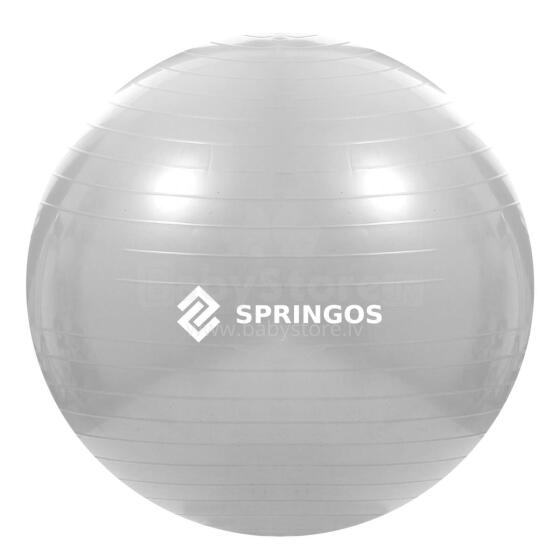 Treeningpall pumbaga Springos FB0008 75cm