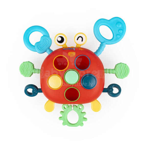 TULI FUN TF 30121 Crab ƒe seselelãme ƒe nukunuwo