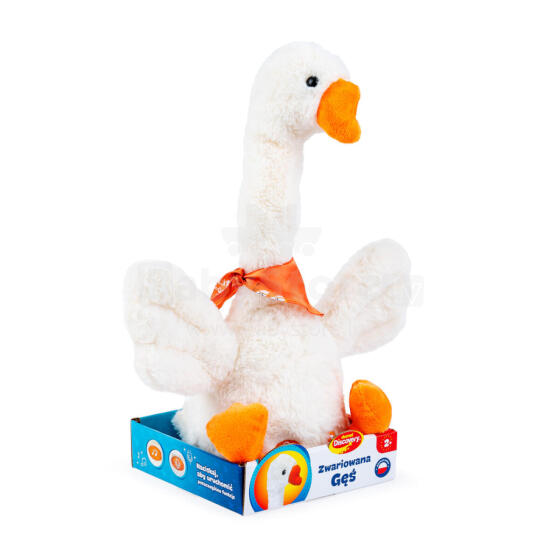 DUMEL DD 30801 Tagbɔsesẽtɔe