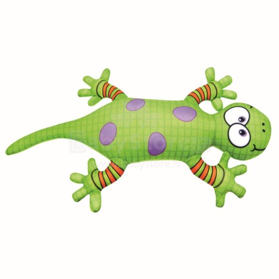 Kplɔ̃, Salamander, 0+