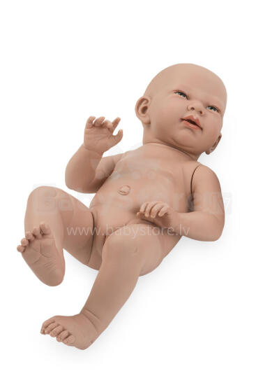 Arias nyɔnuvi vidzĩ, 52 cm