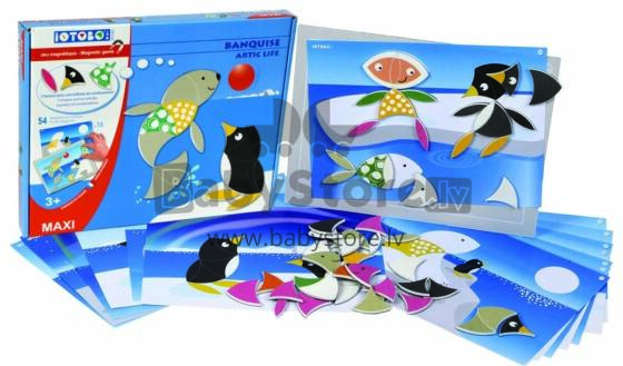 Magnet fefe, Arkts Maxi, 3+