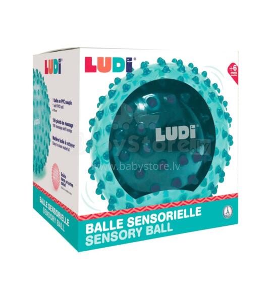 LUDI kamedede bɔl, blɔ, 20 cm