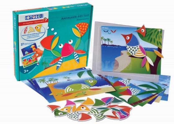 Magnet fefe, Polonesia, 3+