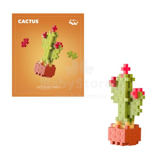 Plus Plus xɔtula NUMIEMIEWO - cactus