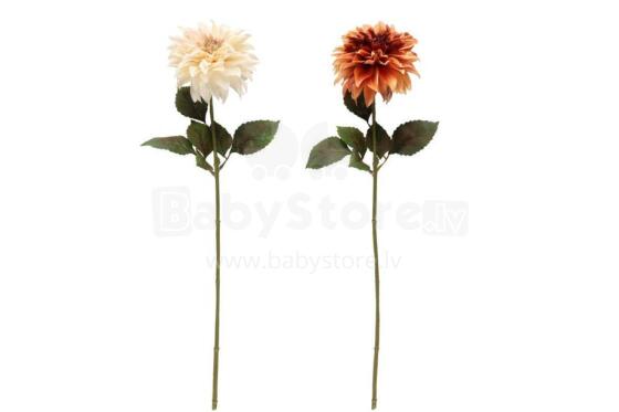 4Dahlia gbagbe seƒoƒo gã 74 cm assortment
