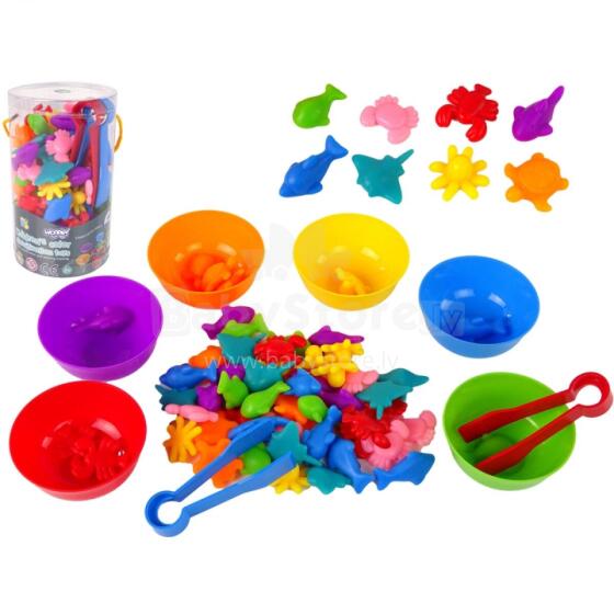 WOOPIE Montessori Hehenana Fefe Amadedewo ƒe Ðoɖowɔɖi Ƒudzi Anyigba 64 pcs.