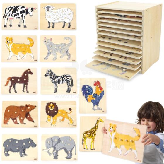 VIGA Ati Puzzle Set 12 Puzzles Montessori Lãwo + Tsitrenu