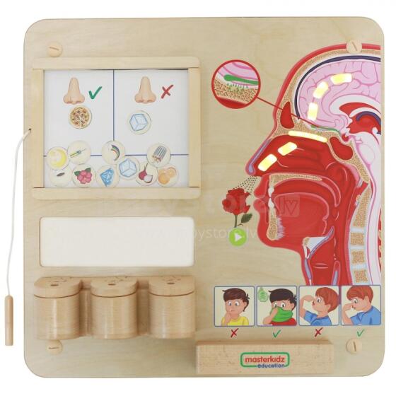 MASTERKIDZ Montessori Ʋeʋẽ ƒe Hehenahabɔbɔ