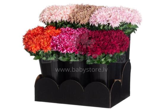 4Living Dahlia 58 cm assortii väljapanek