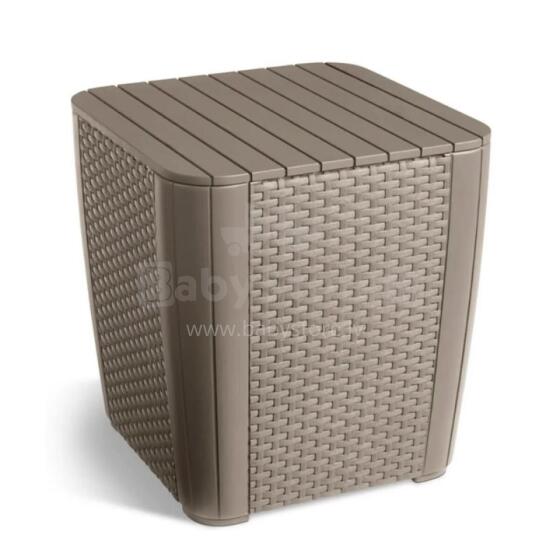 Aialaud/hoiukast Luzon Flat Wicker beež