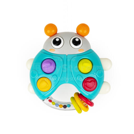 DUMEL DD 30834 Meloodiline Beetle