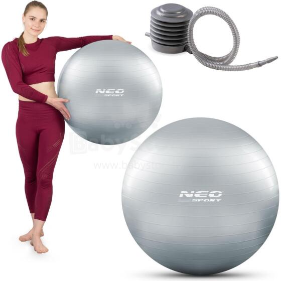 65 cm Treeningpall NS-951 Hõbedane