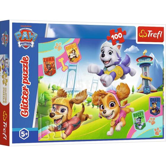 Toi Toys Paw Patrol Art.T-1448 Käpapatrulli pusle, 100 tk.