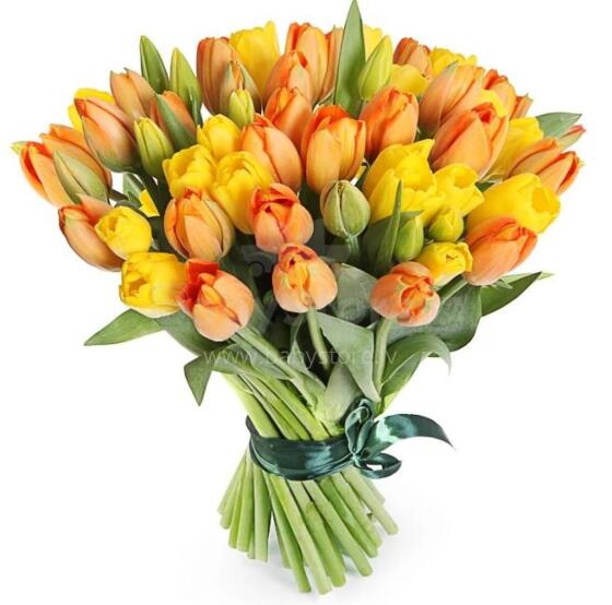 La Petit Fluer Art. LPT-TR51 Fresh Red tulips 51 psc