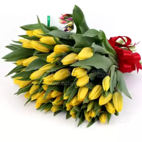 La Petit Fluer Art. LPT-TR51 Fresh Red tulips 51 psc