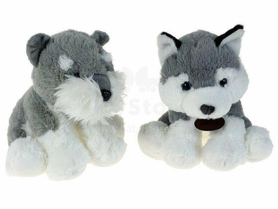 Pehme mänguasi - 596795 - HUSKY - suurus 21 cm