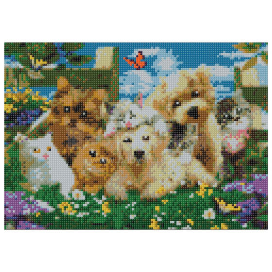 Daimond Mosaic - 47388 - KUTSID JA KASSID - suurus 30x40 cm