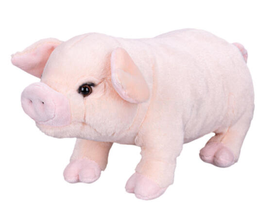 Pehme mänguasi - 01506 - PIGGY - suurus 25 cm