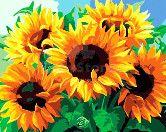 Numbrite järgi maalimine - 45896 - PÄIKESEKELLAD - suurus 40x50 cm