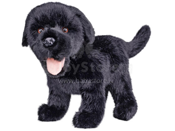 Pehme mänguasi - 04552 - KOER - LABRADOR - MUST - suurus 23 cm