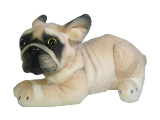 Pehme mänguasi - 03888 - BULDOG - suurus 26 cm