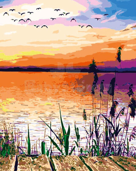 Numbrite järgi maalimine - 45735 - JÄRV - suurus 40x50 cm