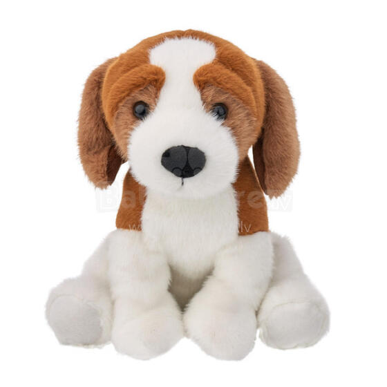 Pehme mänguasi - 14188 - BEAGLE KOER - suurus 25cm