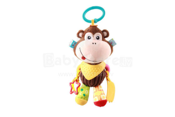DD 85324 RIPPMAKSU MAŁPKA MOLLY