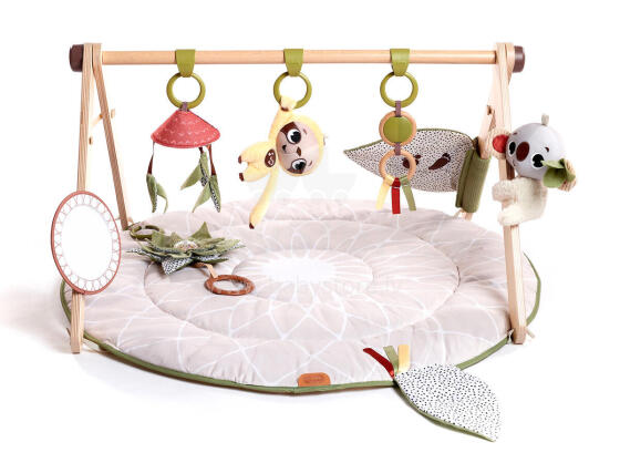 TINY LOVE TL120680 Beebigümnaasium BOHO toega Hall pakend