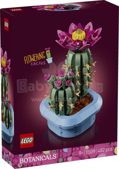 LEGO Botaanika Õitsev Kaktus