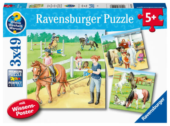 Пазл Ravensburger 3x49 деталей: Лошади