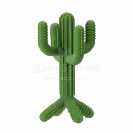 Teether - 584262 - Kaktus 3D