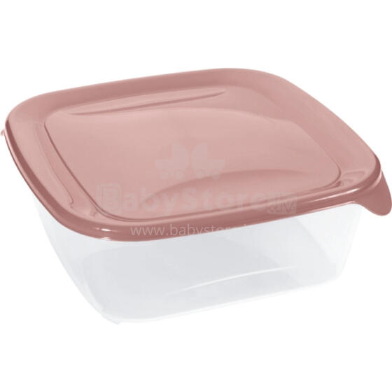 Ruudukujuline toidukarp 1,7L Fresh&amp;amp;Go roosa