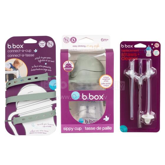 B.BOX 62450 Starter Set 3-in-1 pudel koos õhutusventiiliga 240ml + kaelarihm + varuõhutusventiilid Salvei